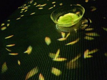 森ビル デジタルアート ミュージアム：エプソン チームラボボーダレスに投稿された画像（2022/8/1）