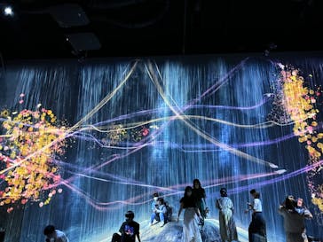 森ビル デジタルアート ミュージアム：エプソン チームラボボーダレスに投稿された画像（2022/8/1）