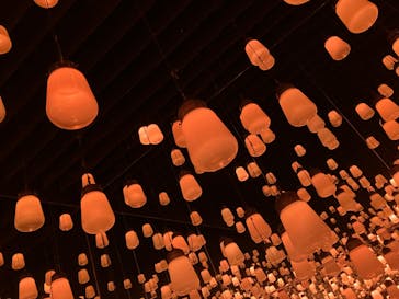 森ビル デジタルアート ミュージアム：エプソン チームラボボーダレスに投稿された画像（2022/8/1）