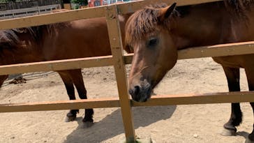 那須どうぶつ王国に投稿された画像（2022/8/1）