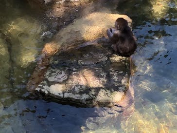 よこはま動物園ズーラシアに投稿された画像（2022/8/1）