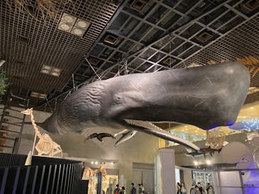 国立科学博物館に投稿された画像（2022/8/1）