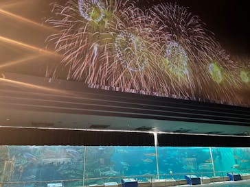 株式会社Gに投稿された画像（2022/8/1）