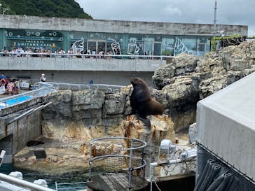 大分マリーンパレス水族館 「うみたまご」に投稿された画像（2022/8/1）