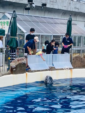 大分マリーンパレス水族館 「うみたまご」に投稿された画像（2022/8/1）