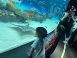 サンシャイン水族館に投稿された画像（2022/8/1）