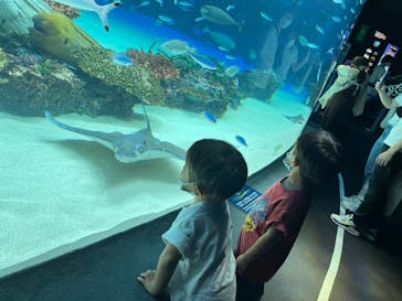 サンシャイン水族館に投稿された画像（2022/8/1）