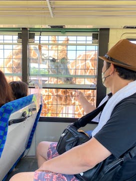 那須サファリパークに投稿された画像（2022/8/1）