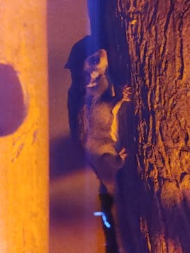 カワスイ 川崎⽔族館に投稿された画像（2022/8/1）