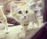 那須どうぶつ王国に投稿された画像（2022/8/1）