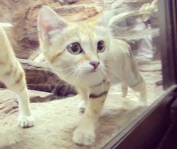 那須どうぶつ王国に投稿された画像（2022/8/1）