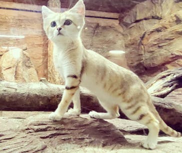 那須どうぶつ王国に投稿された画像（2022/8/1）