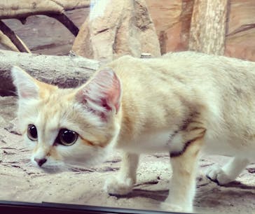 那須どうぶつ王国に投稿された画像（2022/8/1）