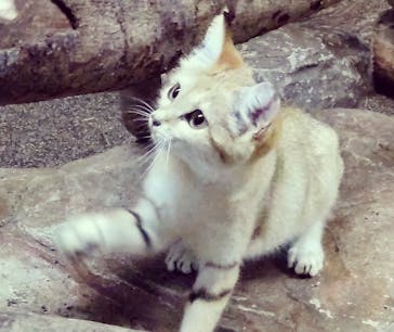 那須どうぶつ王国に投稿された画像（2022/8/1）