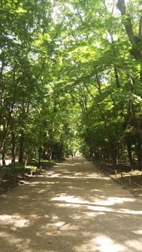 京阪電車に投稿された画像（2022/8/1）