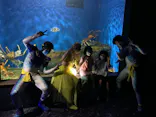 仙台うみの杜水族館に投稿された画像（2022/8/1）