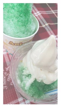 東武動物公園に投稿された画像（2022/8/1）