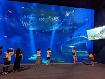 アクアワールド茨城県大洗水族館に投稿された画像（2022/8/1）