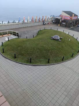 アクアワールド茨城県大洗水族館に投稿された画像（2022/7/30）