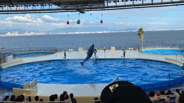 マリンワールド海の中道に投稿された画像（2022/8/1）