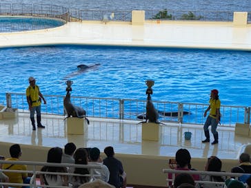 マリンワールド海の中道に投稿された画像（2022/8/1）