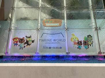 マリンワールド海の中道に投稿された画像（2022/8/1）