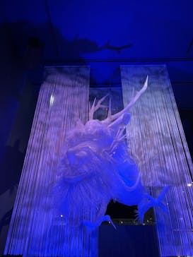 滋賀県立琵琶湖博物館に投稿された画像（2022/8/1）