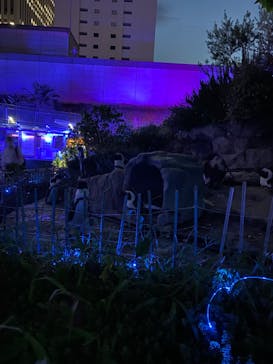 サンシャイン水族館に投稿された画像（2022/8/1）