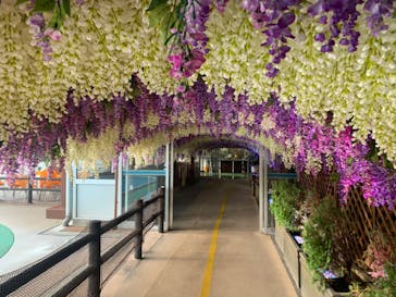 東京サマーランドに投稿された画像（2022/8/1）