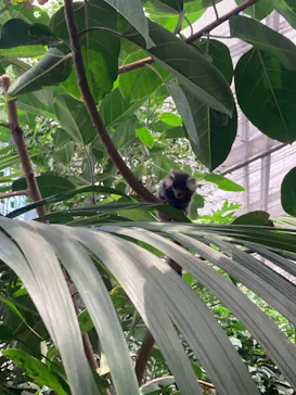 神戸どうぶつ王国に投稿された画像（2022/8/1）