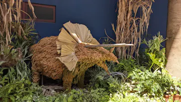 ひらかたパークに投稿された画像（2022/8/1）