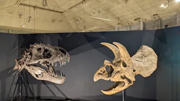 ひらかたパークに投稿された画像（2022/8/1）