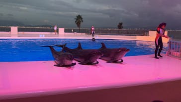 マリンワールド海の中道に投稿された画像（2022/8/2）