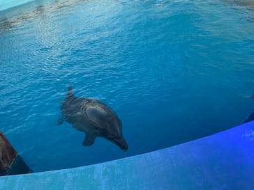 マリンワールド海の中道に投稿された画像（2022/8/2）