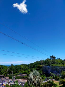 伊豆ぐらんぱる公園に投稿された画像（2022/8/2）