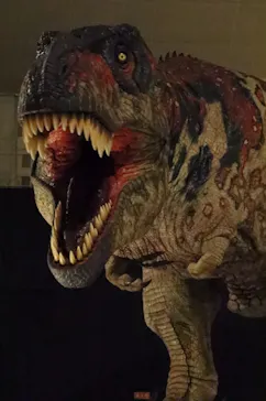 ひらかたパークに投稿された画像（2022/8/2）