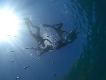 武藤潜水に投稿された画像（2022/8/2）