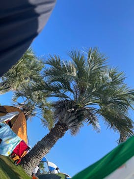 蓮沼ウォーターガーデンに投稿された画像（2022/8/2）