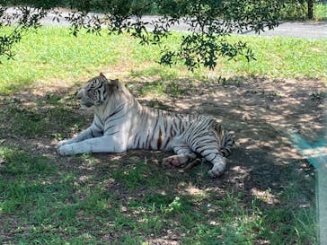 姫路セントラルパークに投稿された画像（2022/8/2）