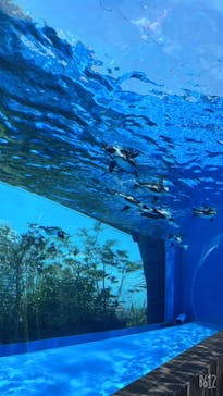 サンシャイン水族館に投稿された画像（2022/8/2）