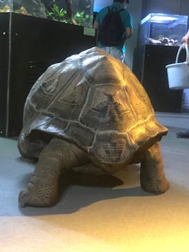 felissimo chocolate museum（フェリシモチョコレートミュージアム）に投稿された画像（2022/8/2）