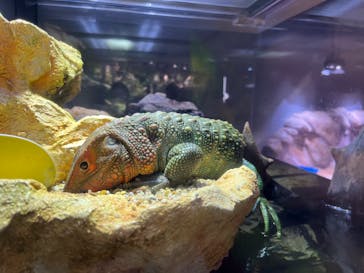 felissimo chocolate museum（フェリシモチョコレートミュージアム）に投稿された画像（2022/8/2）