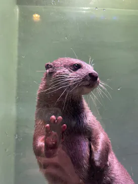 マクセル アクアパーク品川に投稿された画像（2022/8/2）