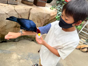 神戸どうぶつ王国に投稿された画像（2022/8/2）