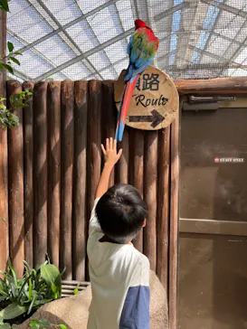 神戸どうぶつ王国に投稿された画像（2022/8/2）