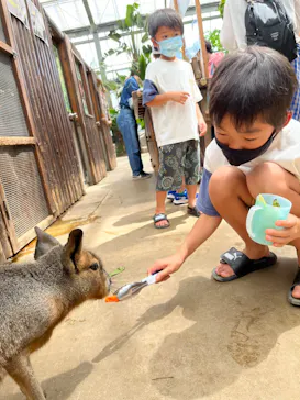 神戸どうぶつ王国に投稿された画像（2022/8/2）
