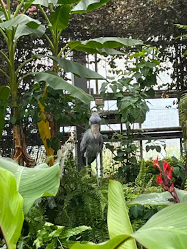 神戸どうぶつ王国に投稿された画像（2022/8/2）