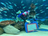 サンシャイン水族館に投稿された画像（2022/8/2）