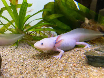 サンシャイン水族館に投稿された画像（2022/8/2）