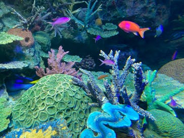 サンシャイン水族館に投稿された画像（2022/8/2）